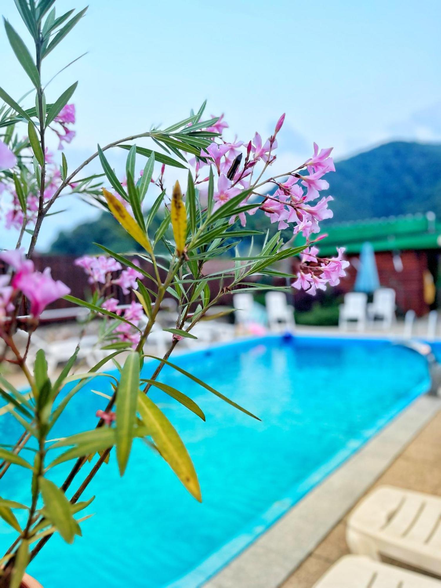 Pensiunea Gasthof Michelsberg Dış mekan fotoğraf